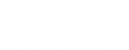 A Priori, Carrière & organisatieontwikkeling